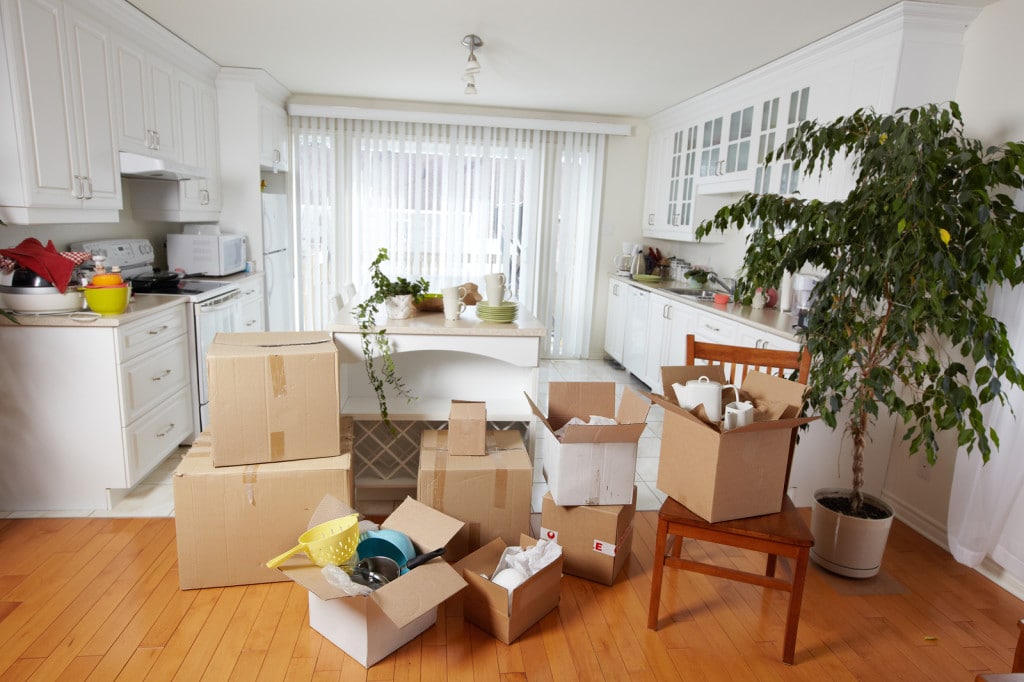 Move in Move Out Cleaning Services